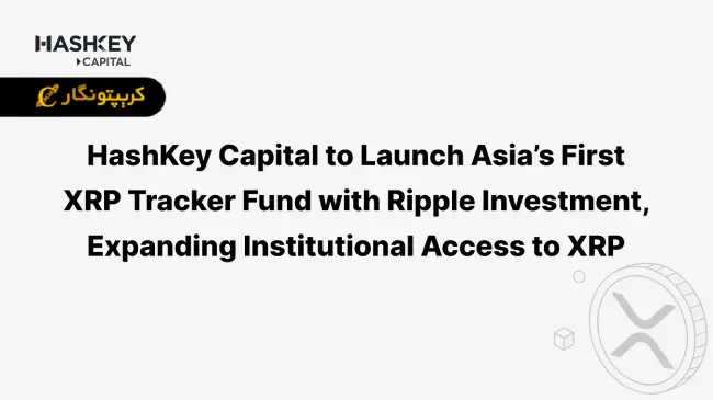 صندوق ردیاب ریپل