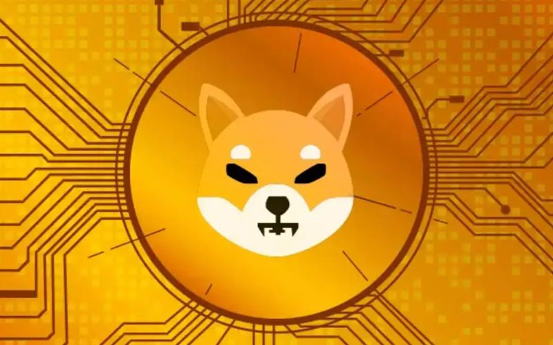 چگونه شیبا اینو به یکی از محبوب‌ترین ارزهای دیجیتال تبدیل شد؟
