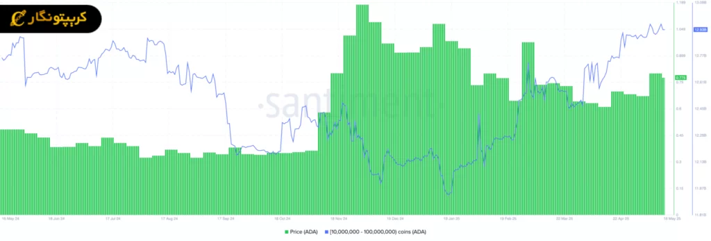 تحلیل کاردانو خرید نهنگها
