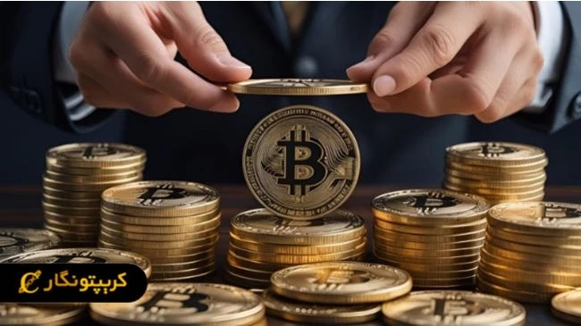 ویژگی‌های بیت سیزن (Bitseason) چیست؟