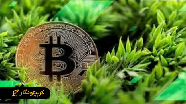 ارز دیجیتال سازگار با محیط زیست چیست؟ معرفی برترین رمزارزهای سبز