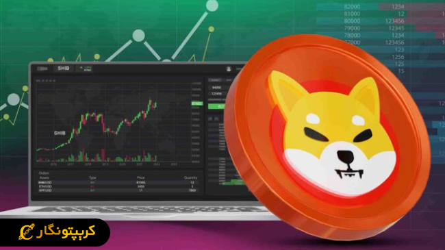 تحلیل شیبا اینو ۱۷ خرداد 1404؛ افزایش قیمت SHIB و جهش حجم تراکنش‌ها