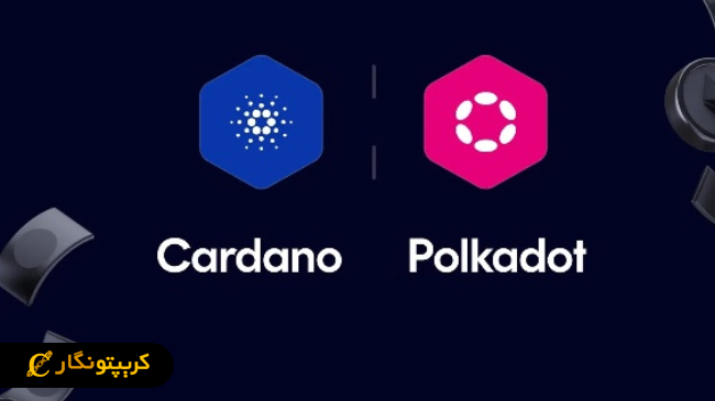 کاردانو و پولکادات در حال خرید بیت کوین هستند!