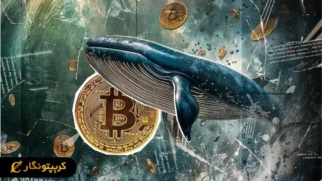 نهنگ‌های بیت کوین بیدار شدند!