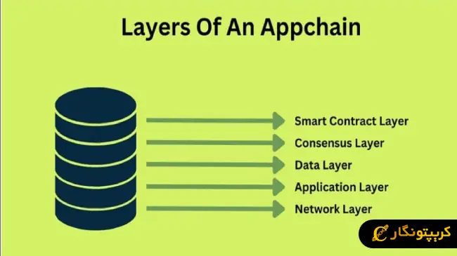 لایه های اصلی
