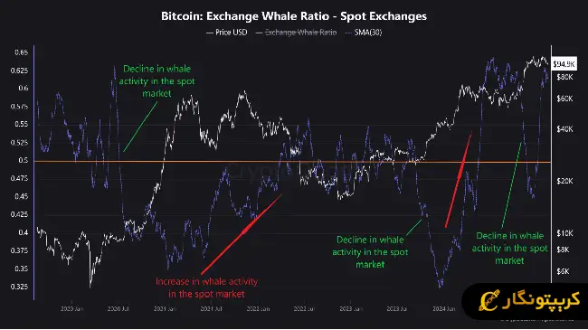 شاخص Whale Ratio (نسبت نهنگ‌ها)