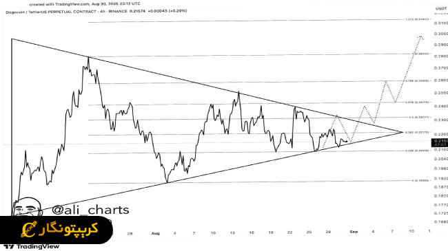 نمودار قیمت دوج کوین رو به صعود