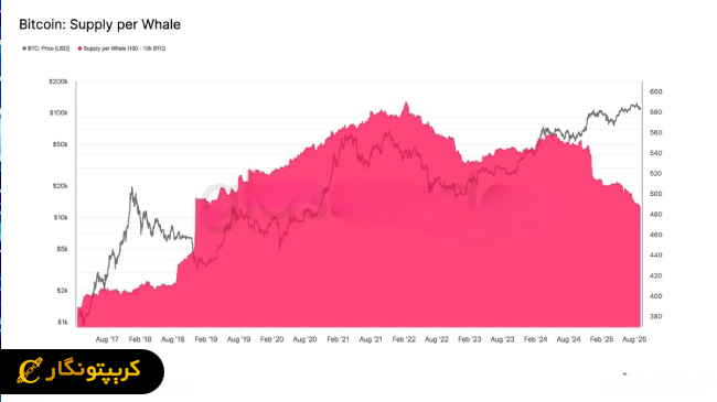 فروش بزرگ توسط نهنگ های بیت کوین