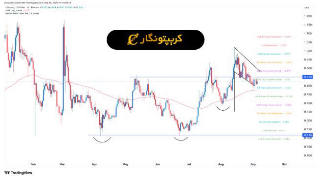 تحلیل کاردانو ۱۴ شهریور