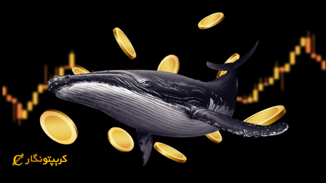 توکن لینیا در سراشیبی سقوط