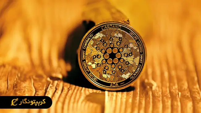 شوک بزرگ بازار؛ آینده قیمت کاردانو