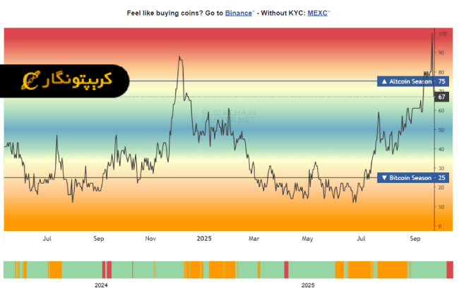 توقف رشد آلت کوین ها و لیکوییدیشن شدید در بازار کریپتو