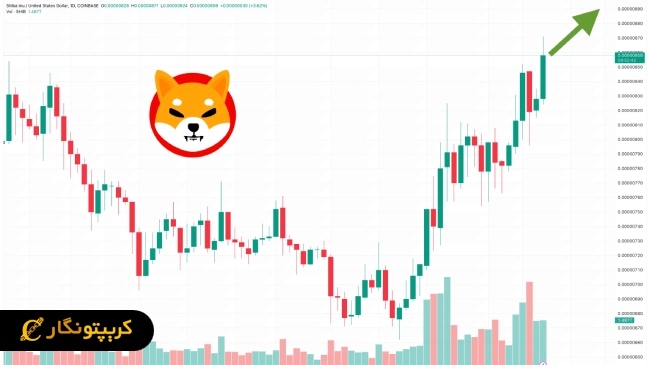 تحلیل و پیش&zwnj;بینی قیمت شیبا اینو