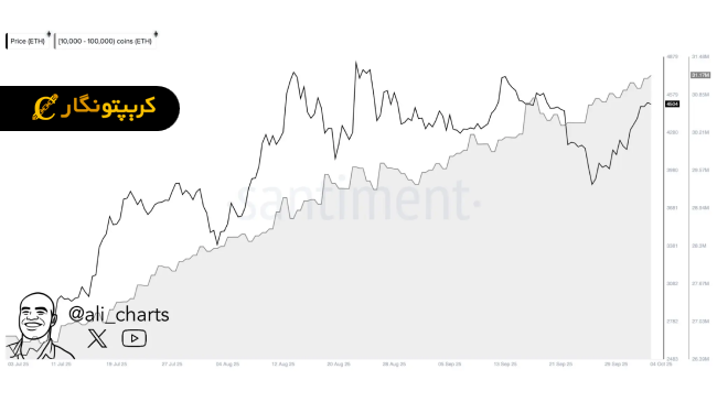 نهنگ های اتریوم