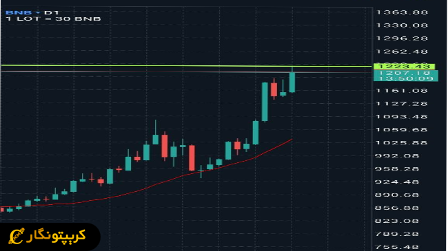 نمودار روزانه بایننس کوین