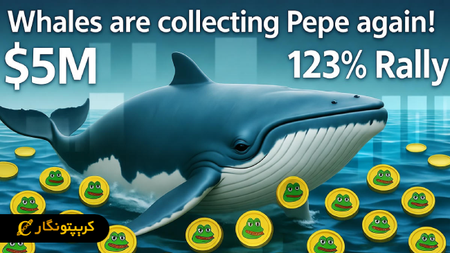تحلیل پپه ۱۹ مهر ۱۴۰۴؛ خرید ۵ میلیون دلاری نهنگ ها