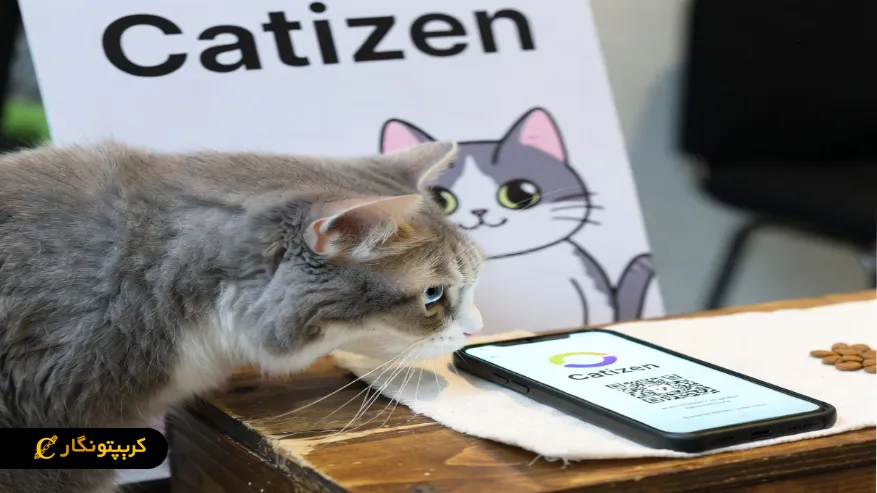 Catizen چه هدفی دارد؟