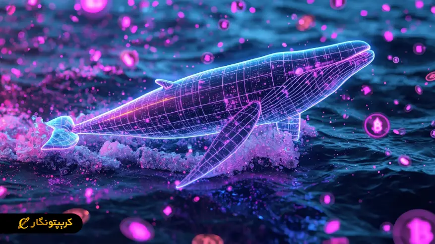 رابطه نهنگ و تریدار های کوچک