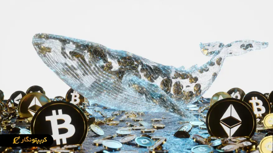 نقش نهنگ کریپتو در بازار