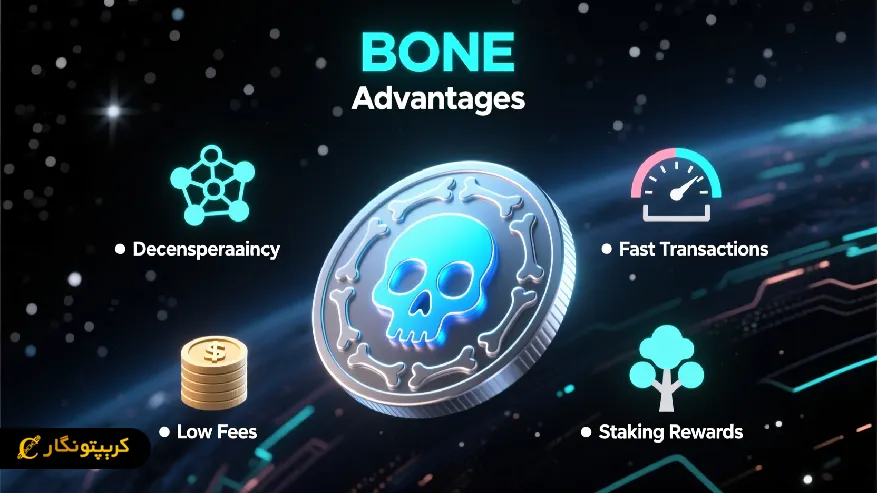 ویژگی های ارز bone