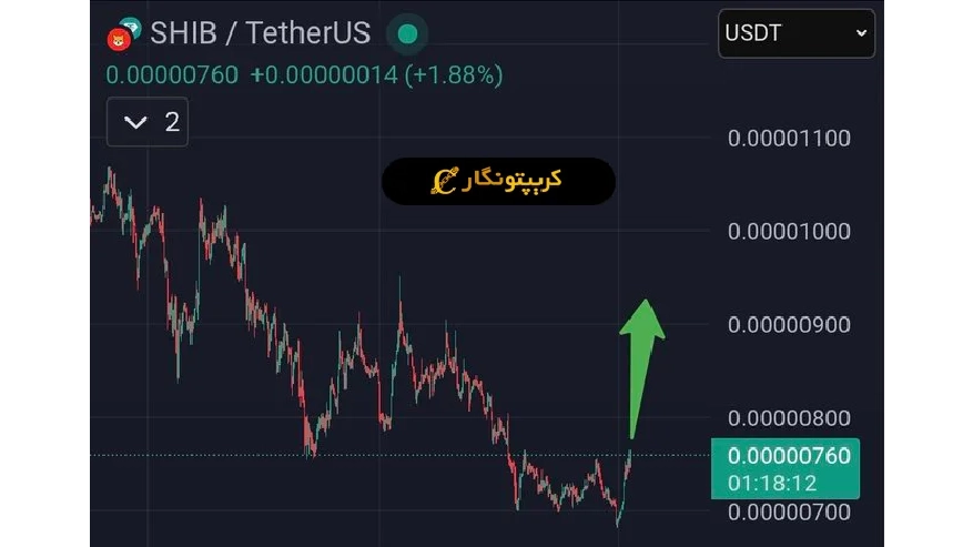 نمودار شیبا اینو