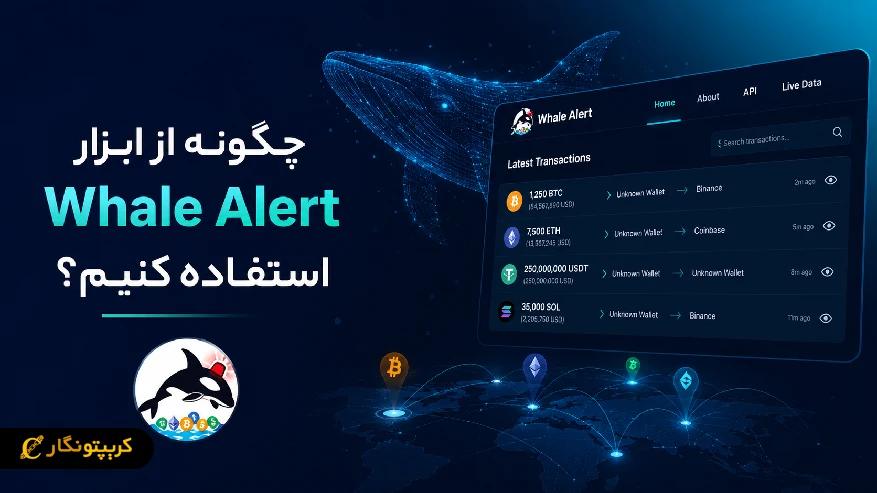 چگونه از ابزار ردیابی نهنگ ارز دیجیتال استفاده کنیم