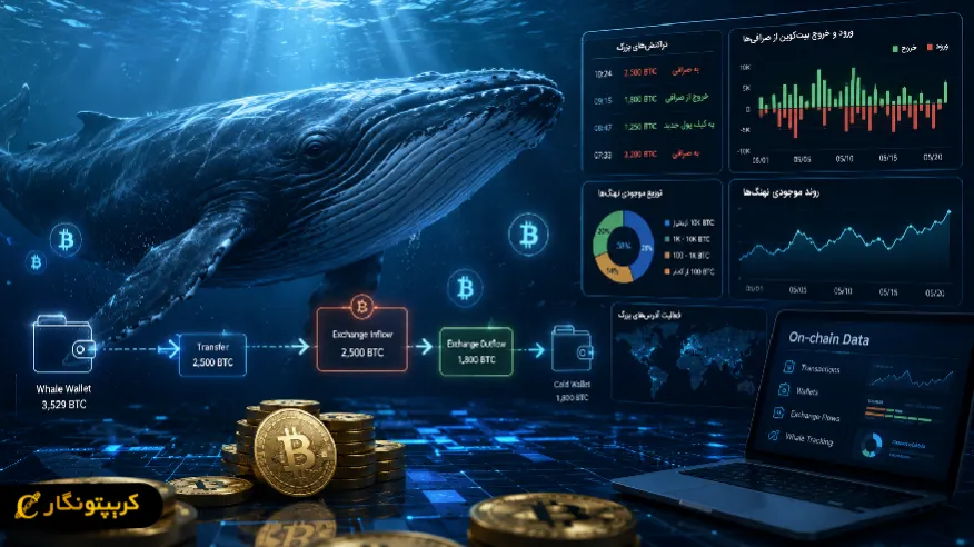 Whale tracking در ارز دیجیتال