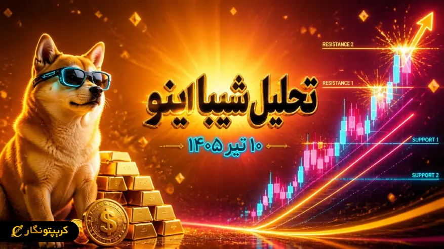 نهنگ ها روی شیبا شرط بستند؟