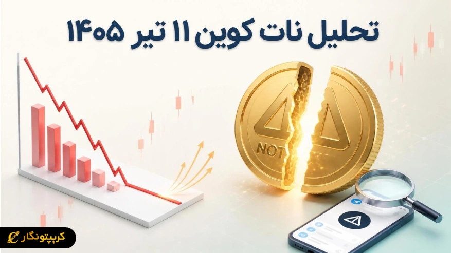 نات کوین؛ آینده‌ای مبهم یا فرصتی تازه؟