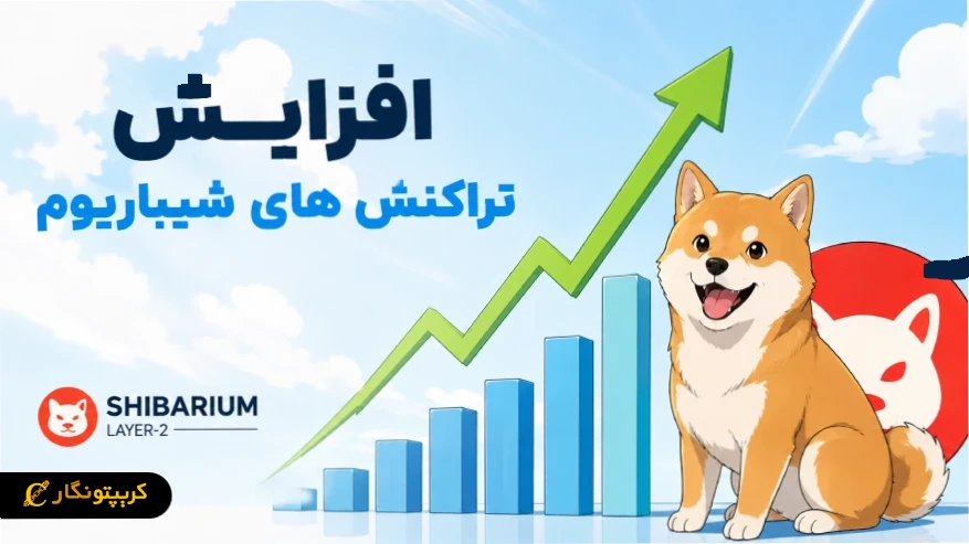 افزایش تراکنش های شیباریوم؛ موجی که خیلی زود فروکش کرد